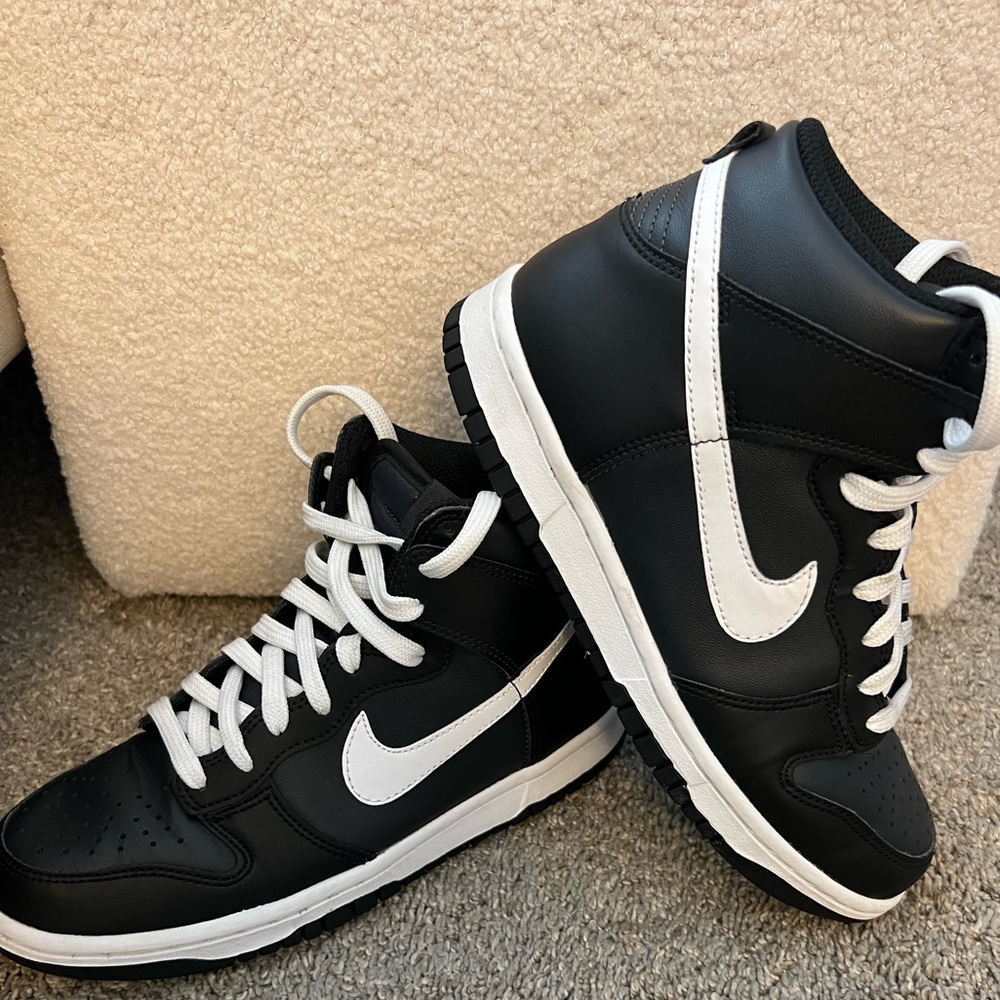 Nike dunks. Big kid size